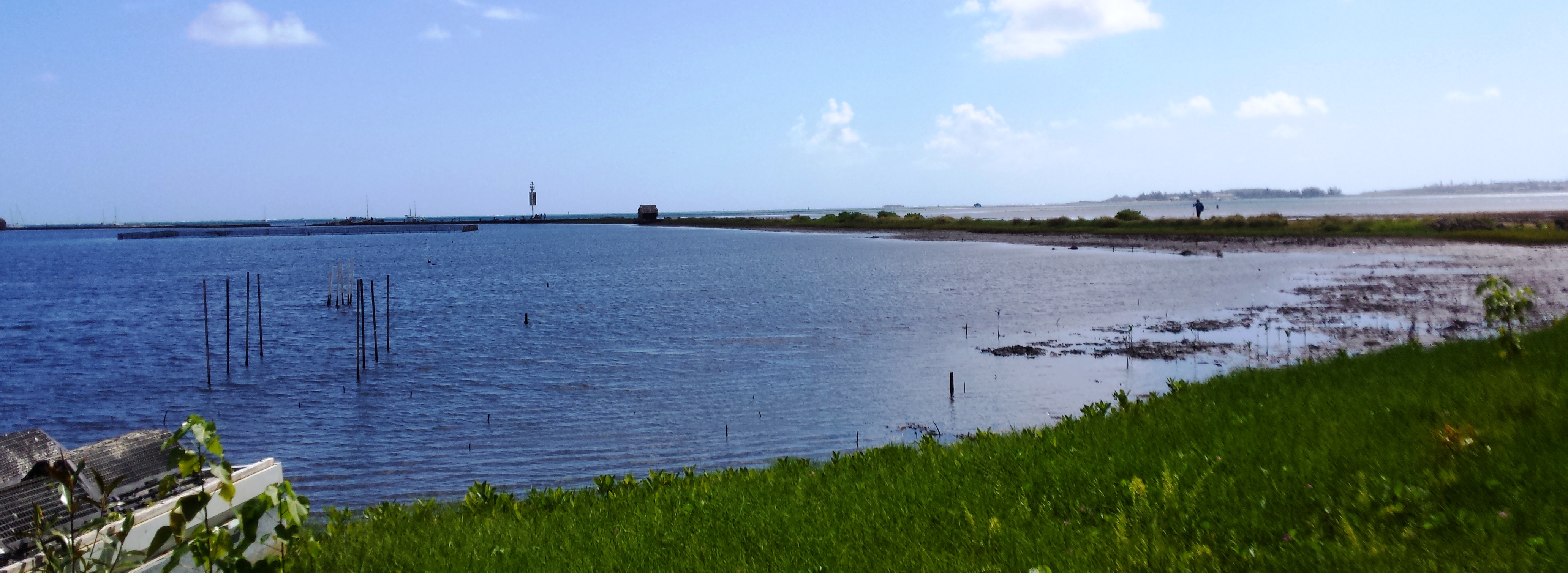 Kaku at the He'eia Fishpond - Hawaii Nearshore Fishing