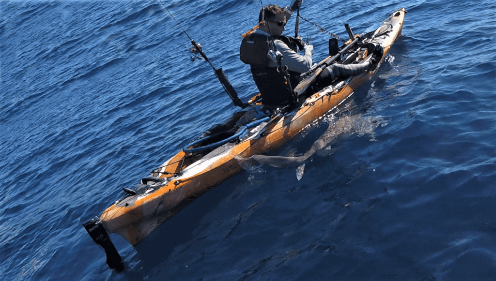  Hawaii Nearshore Fishing