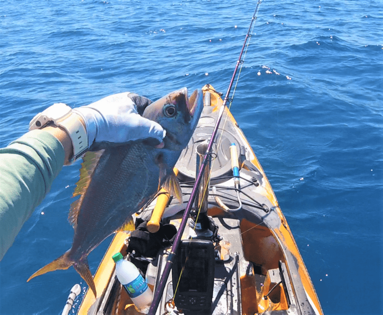 toau fishing