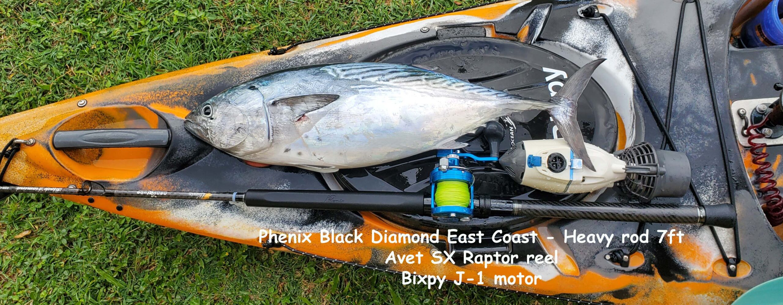 Phenix Black Diamond Spinning – Been There Caught That - Fishing Supply
